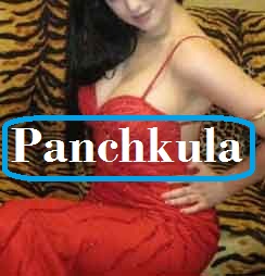 Panchkula VIP Models